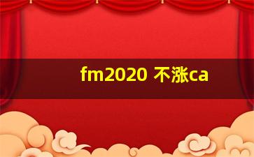 fm2020 不涨ca